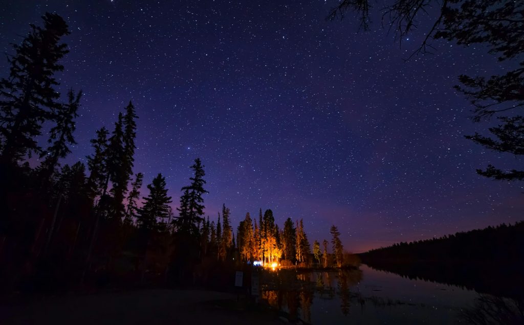 person camping in woods under the stars